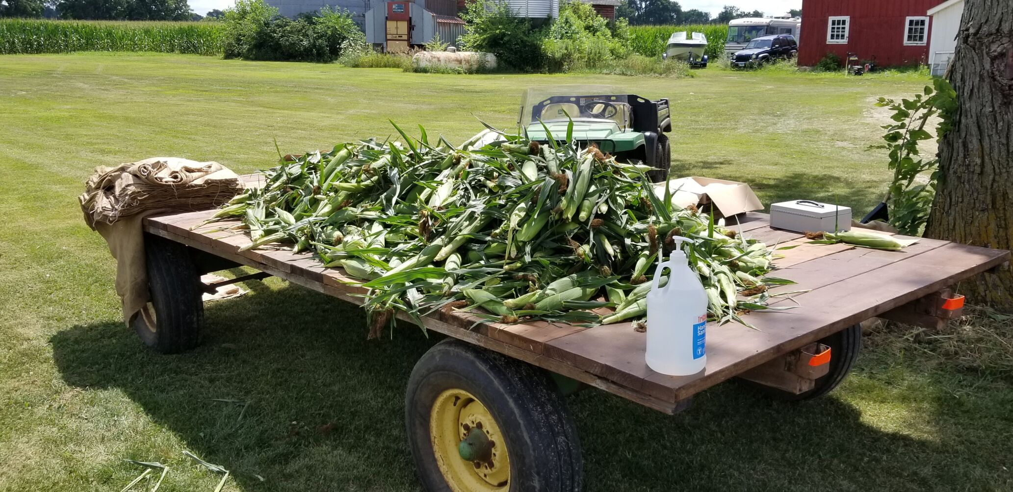 CropWatchers 2.0: Crop progress remains on track